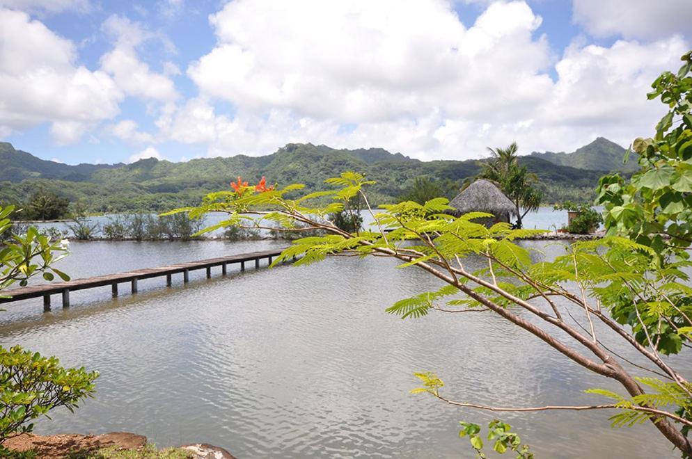 La Perle Tahaa Hotel Tapu' amu Luaran gambar