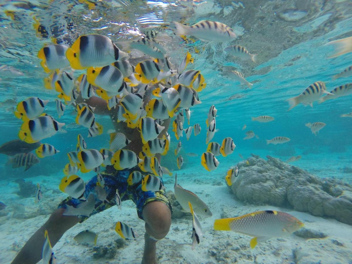 La Perle Tahaa Hotel Tapu' amu Luaran gambar